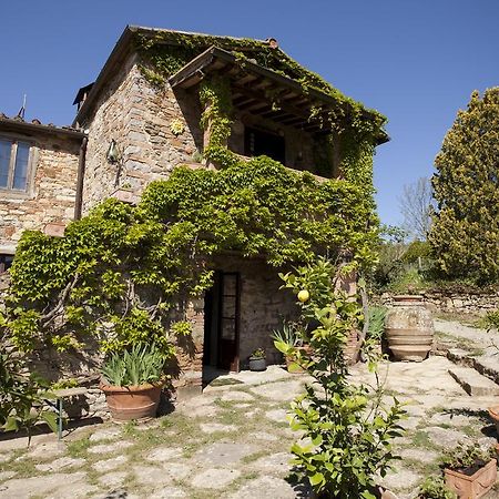 Podere Terreno Alla Via Della Volpaia Radda in Chianti Exterior foto